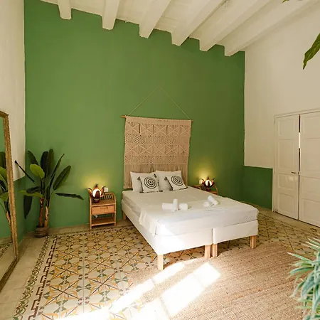 Jungle Palazzo Konukevi