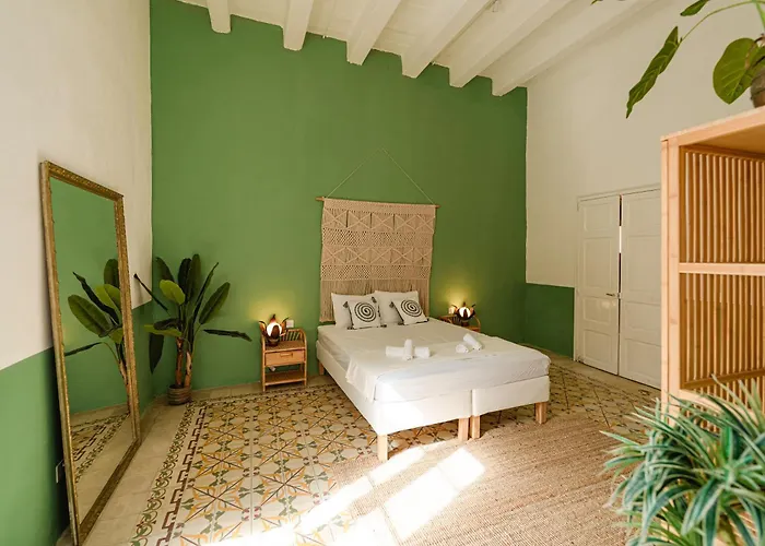 Jungle Palazzo Vendégház