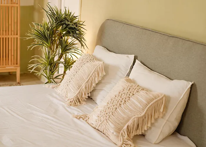 Jungle Palazzo Vendégház