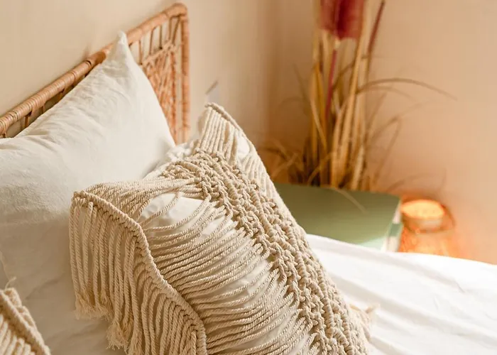 Vendégház Jungle Palazzo