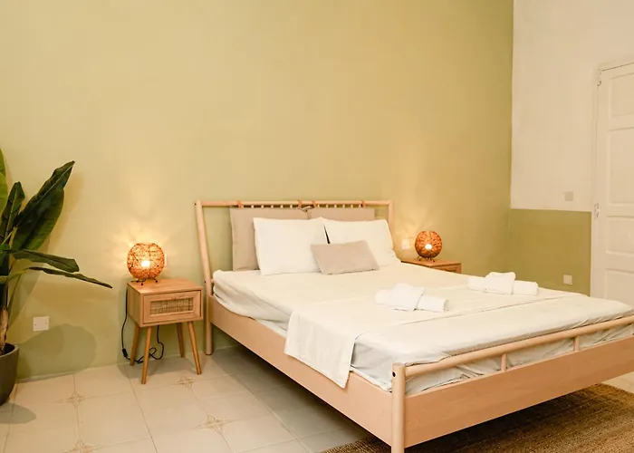 Jungle Palazzo Vendégház