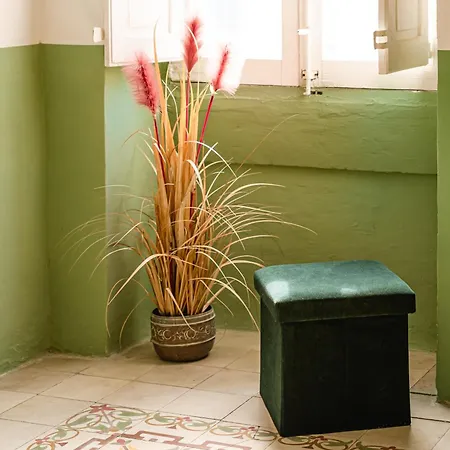 Jungle Palazzo Senglea