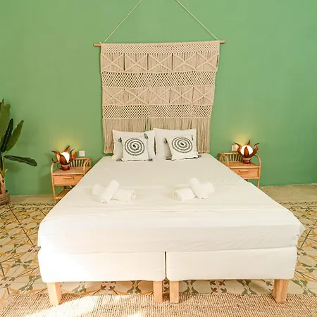 Guest house Jungle Palazzo *