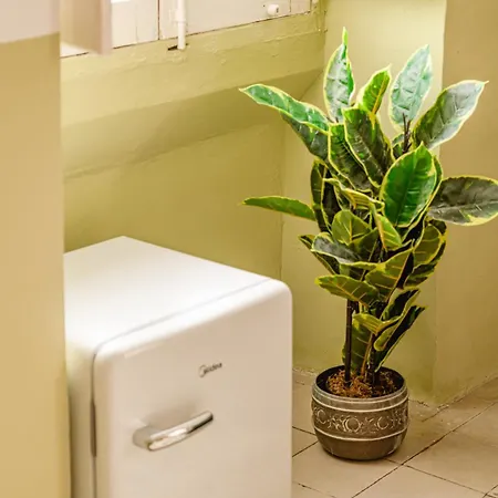 Guest house Jungle Palazzo