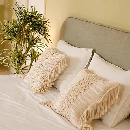 Jungle Palazzo Guest house