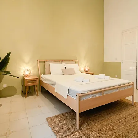 Guest house Jungle Palazzo