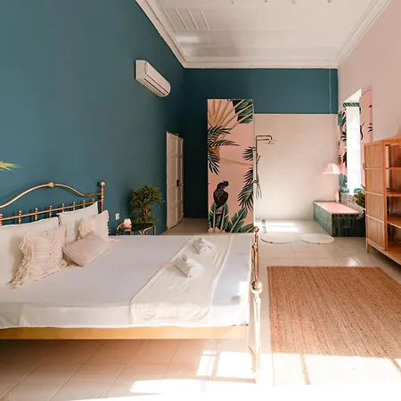 Jungle Palazzo Guest house *