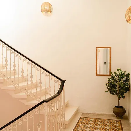 Jungle Palazzo *