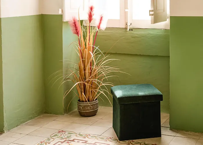 Jungle Palazzo セングレア