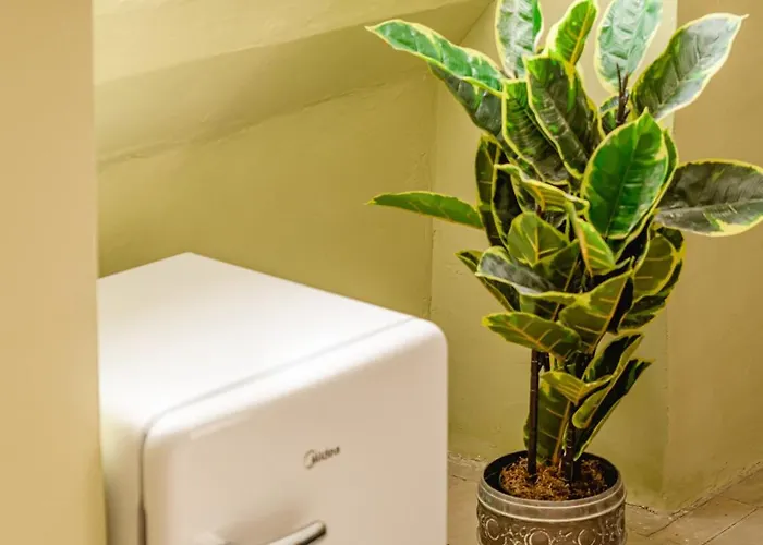 ゲストハウス Jungle Palazzo